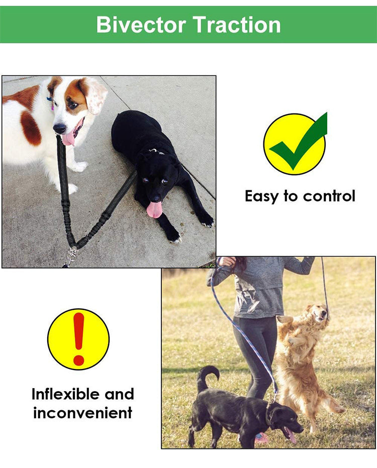 Multipurpose Pet Dual Headed Dog Leash