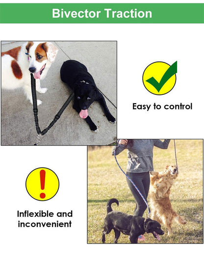 Multipurpose Pet Dual Headed Dog Leash