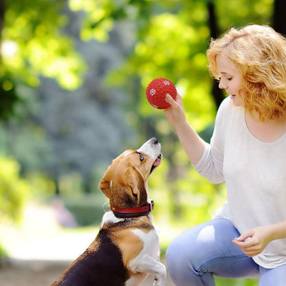 Dog Toys Balls Interactive Puppy Cat Chewing Toys Pet Tooth Cleaning Indestructible Toy Floating Dog Pool Balls For Small Medium